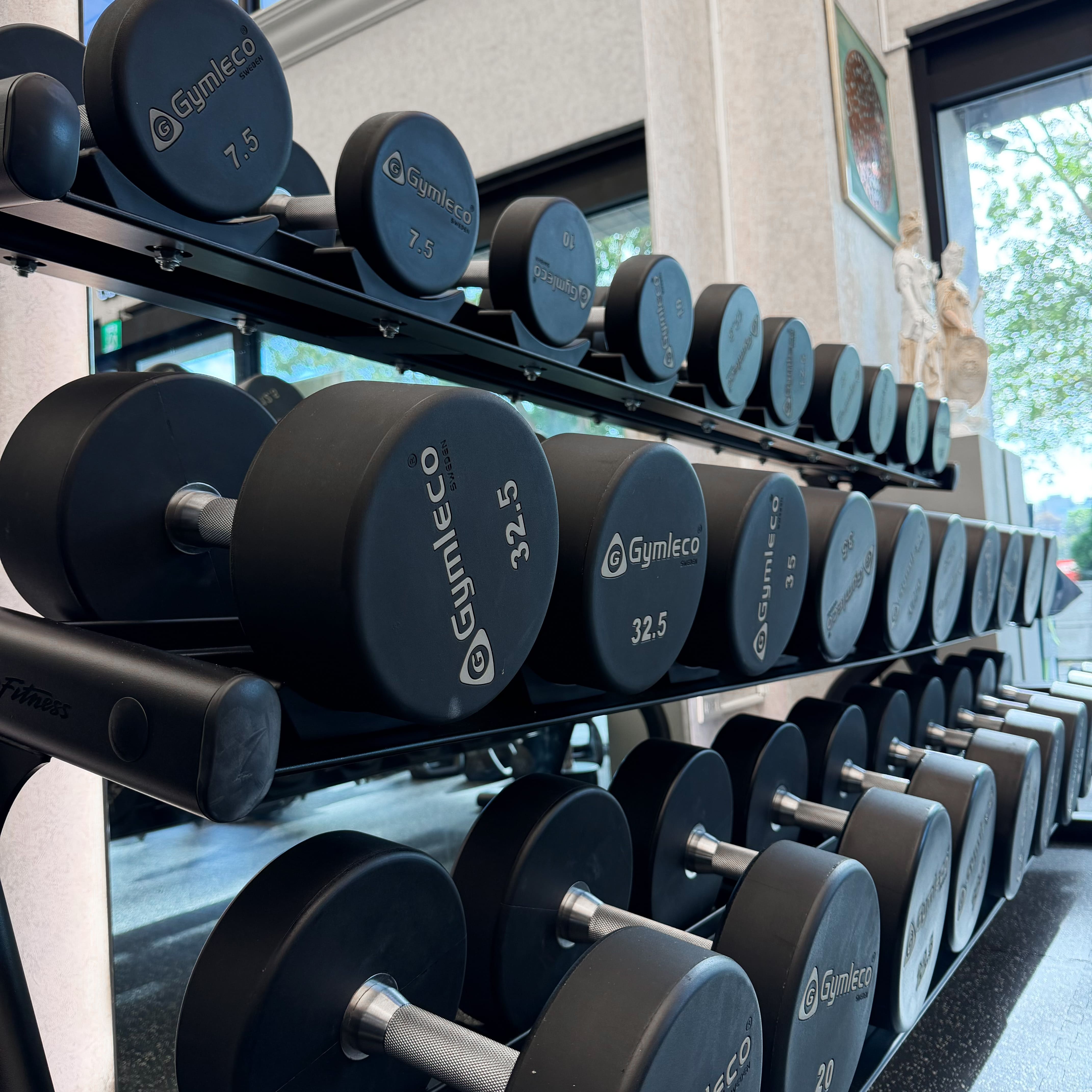 自由重量啞鈴區